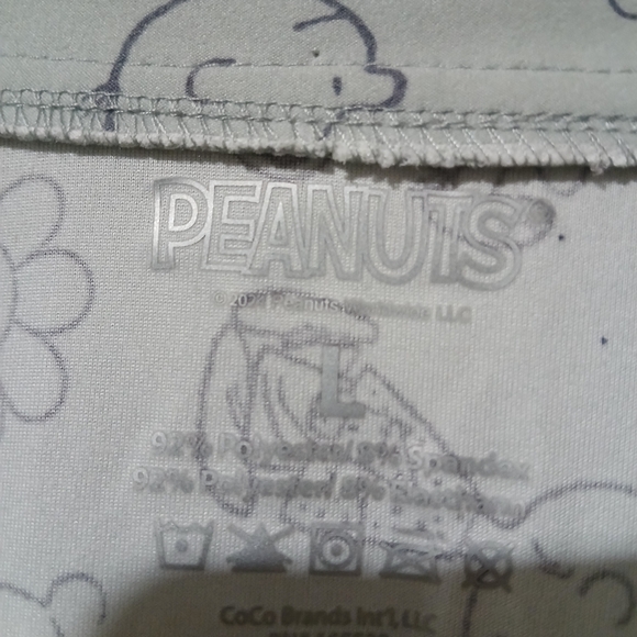 Peanuts Charlie Brown, Snoopy & Friends Women’s gray Pajama Set Size: L (NEW) - Picture 6 of 9